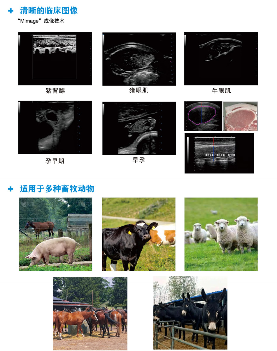 兽用B超机猪牛羊马驴骡用S10手持畜牧牲畜彩超