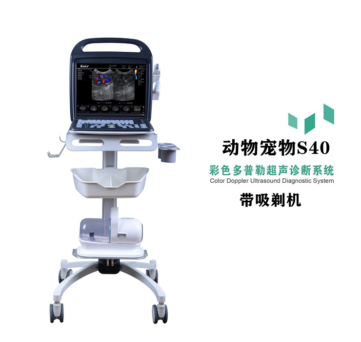 兽用B超机S40便携式动物宠物彩超机
