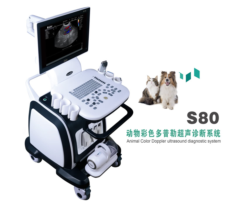 兽用S80四接口推车式宠物彩超机