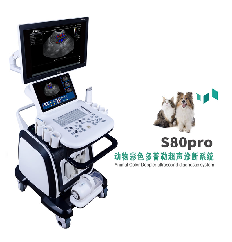 兽用S80pro增强版推车式宠物彩超机