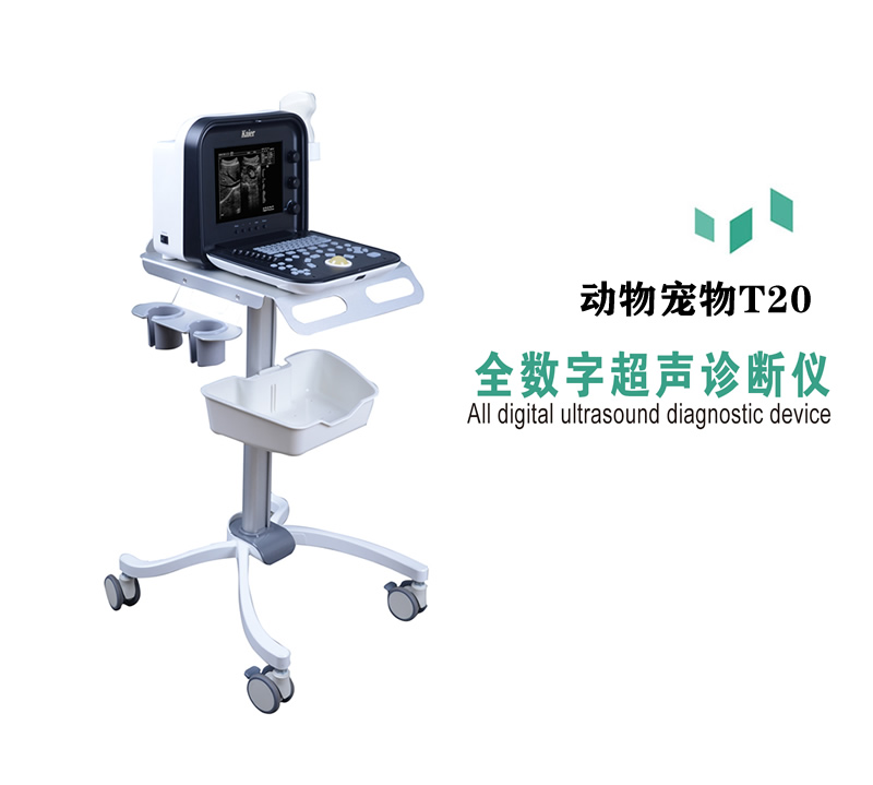 兽用B超机T20便携式动物宠物黑白超