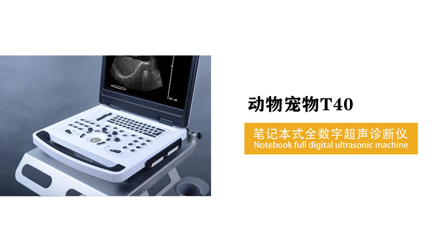 兽用B超机T40便携笔记本式动物宠物黑白超