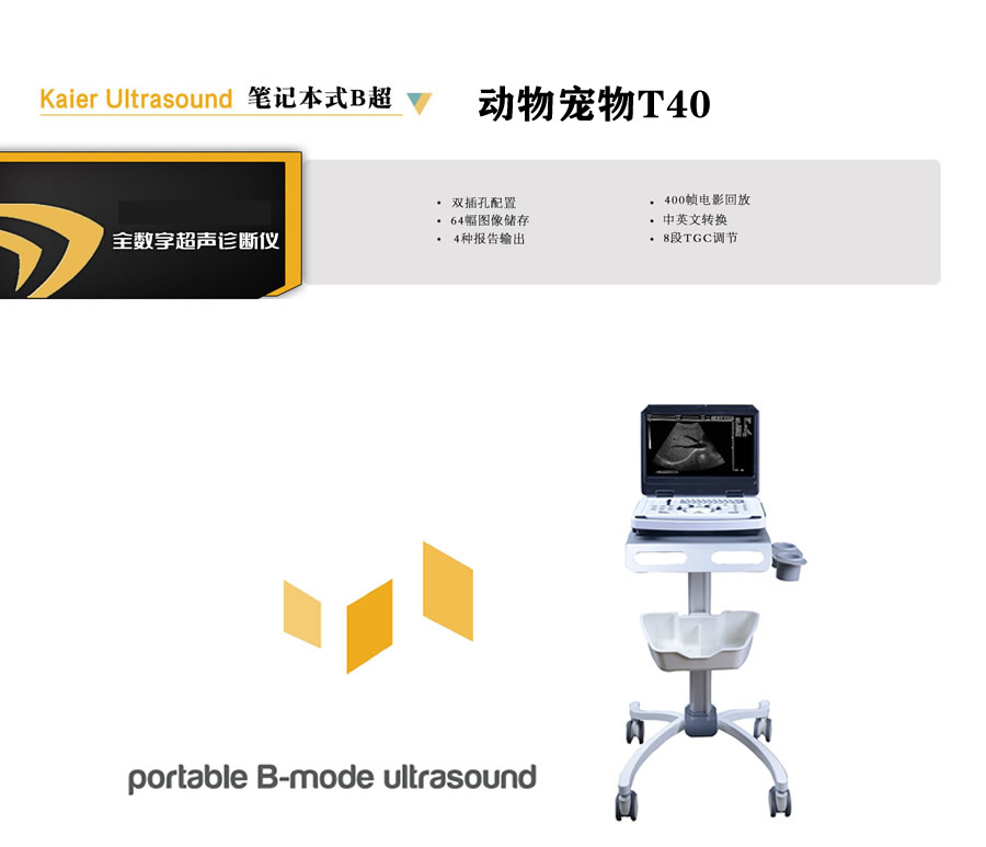 兽用B超机T40便携笔记本式动物宠物黑白超