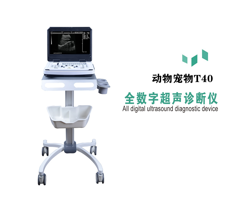 兽用B超机T40便携笔记本式动物宠物黑白超