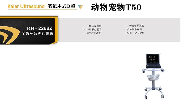 兽用B超机T50便携笔记本式动物宠物黑白超