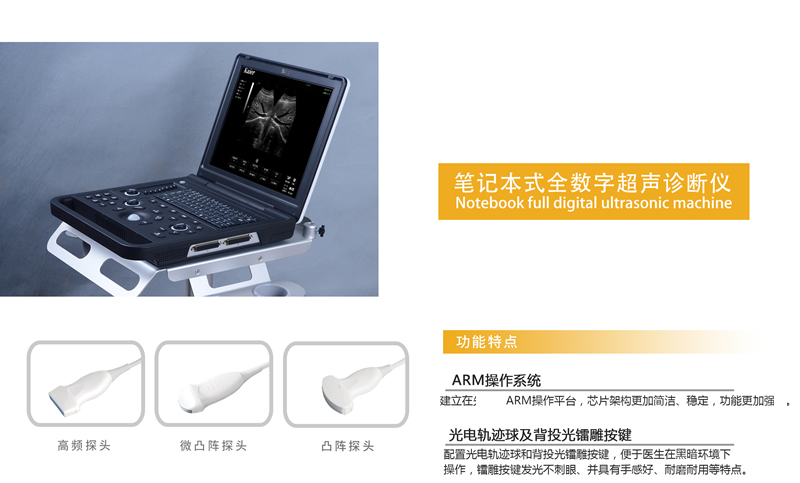 兽用B超机T50便携笔记本式动物宠物黑白超
