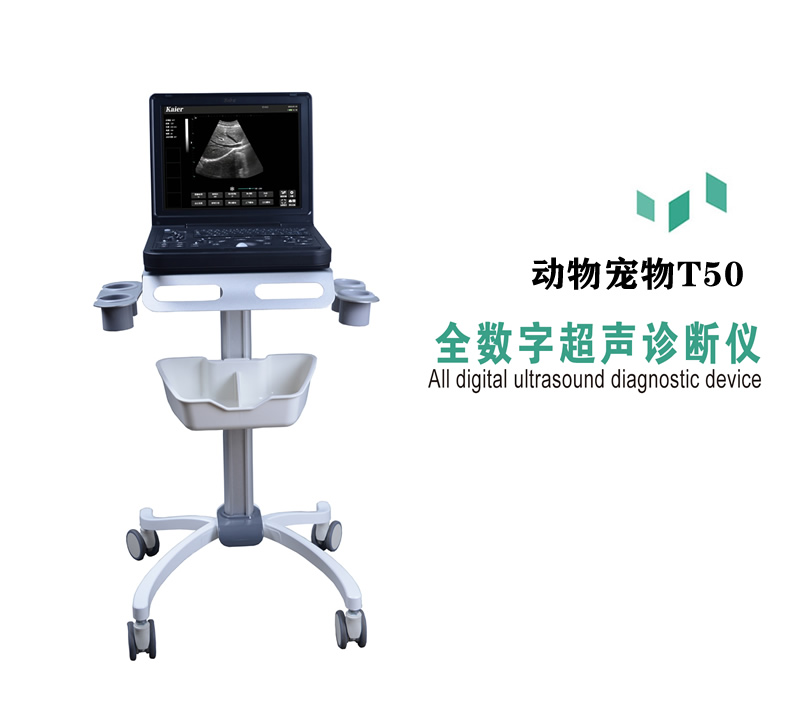 兽用B超机T50便携笔记本式动物宠物黑白超
