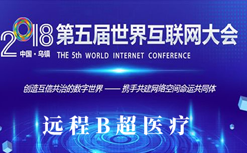 远程B超登录第五届世界互联网大会