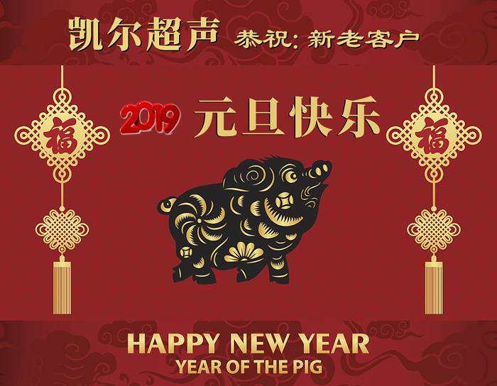 凯尔B超(Kaier)恭祝新老客户2019年元旦快乐