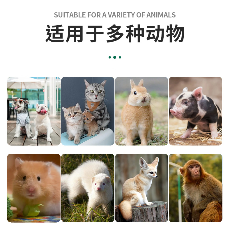兽用B超机彩色多普勒超声诊断系统KR-E80