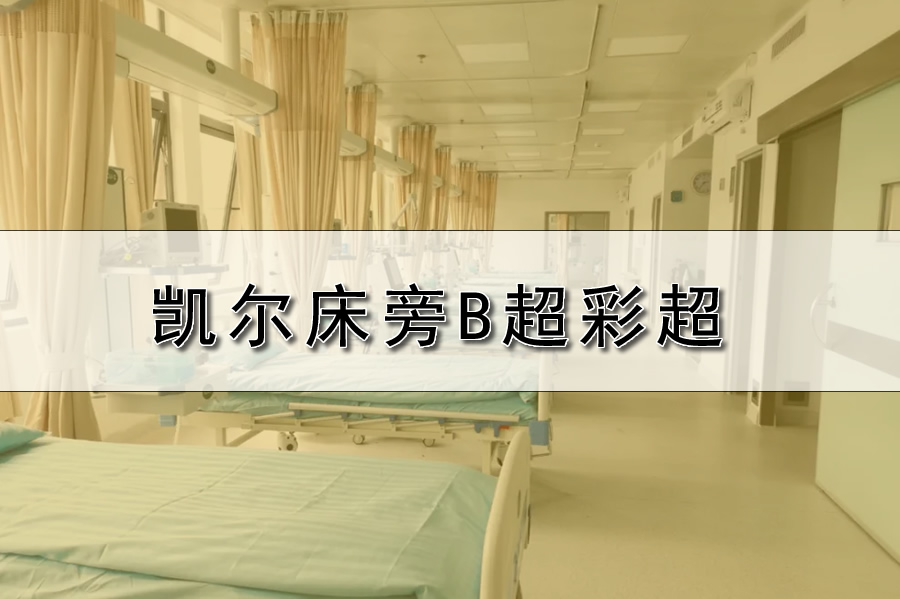 凯尔床旁B超机彩超机